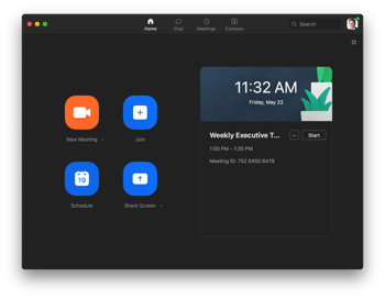 Zoom Meeting Interface