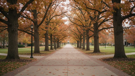 magnific__a-university-campus-walkway-lined-with-mature-oak-__56929