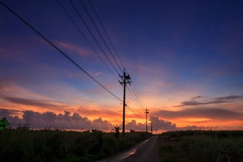 telephone lines at sunset